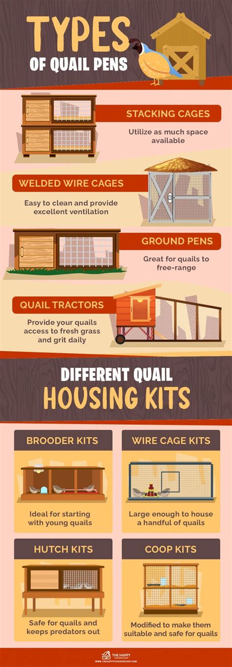 What to Consider When Building Your First Quail Coop